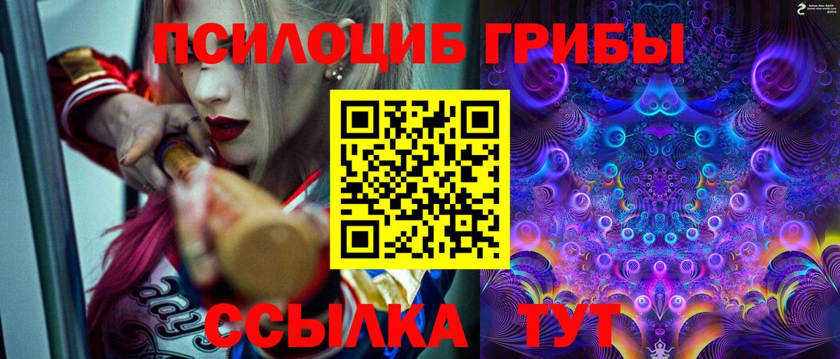 Псилоцибиновые грибы Psilocybe  Вход с VPN  как найти закладки  Жигулёвск 