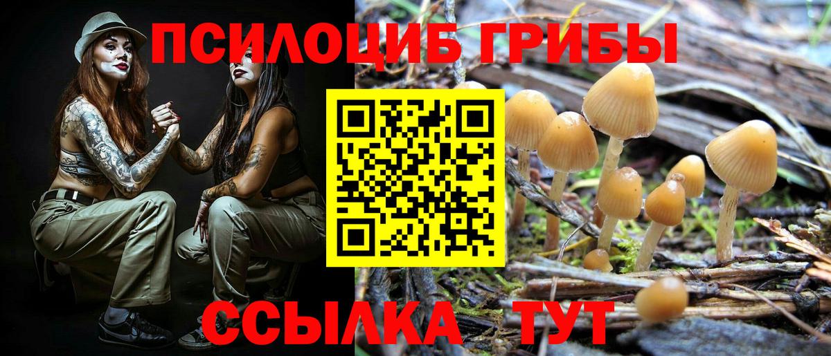 Галлюциногенные грибы Cubensis Жигулёвск